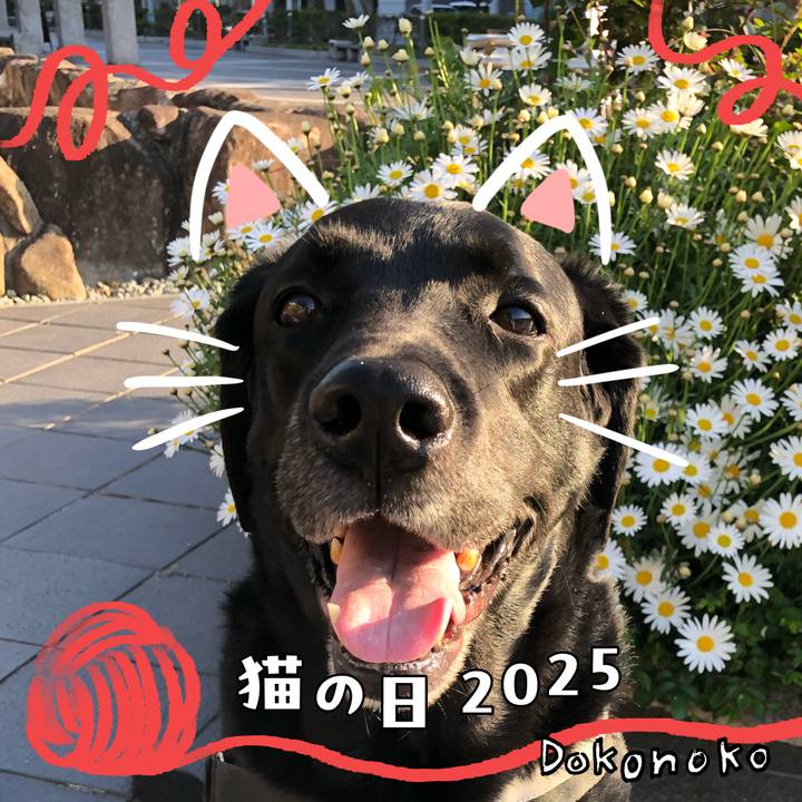 E6d791ba 8f3d 49e2 9acb 9388edbf7b07 1740199889677