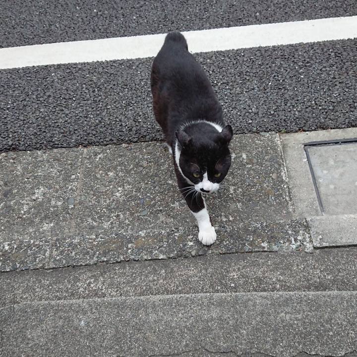 E6d79e40 f2ff 44e2 a60e 6ae02beae568 1591434122784