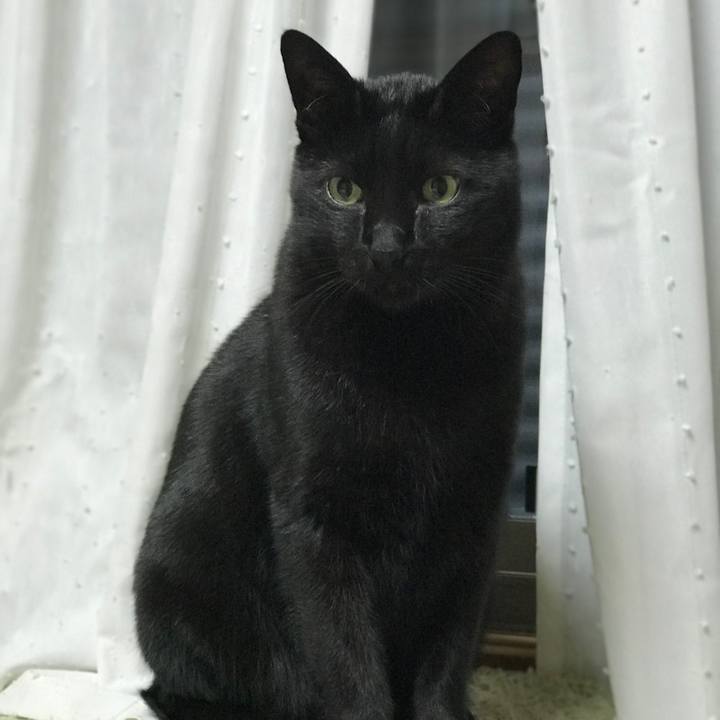 E6d7e04e 1de7 4432 820a aea3f7d15699 1514244948281