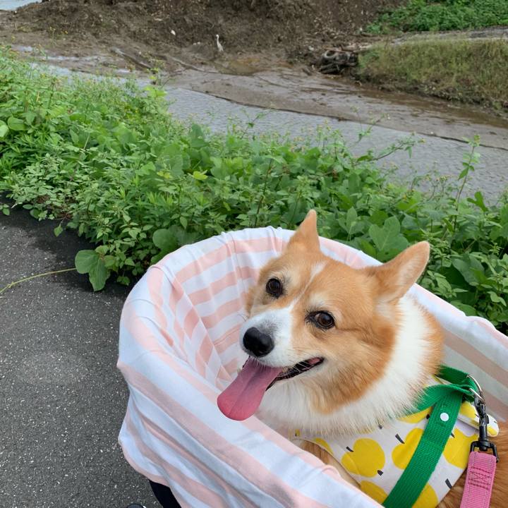 E6d844e2 4d12 4d0a a752 f46cc8b6d5d0 1696906857696