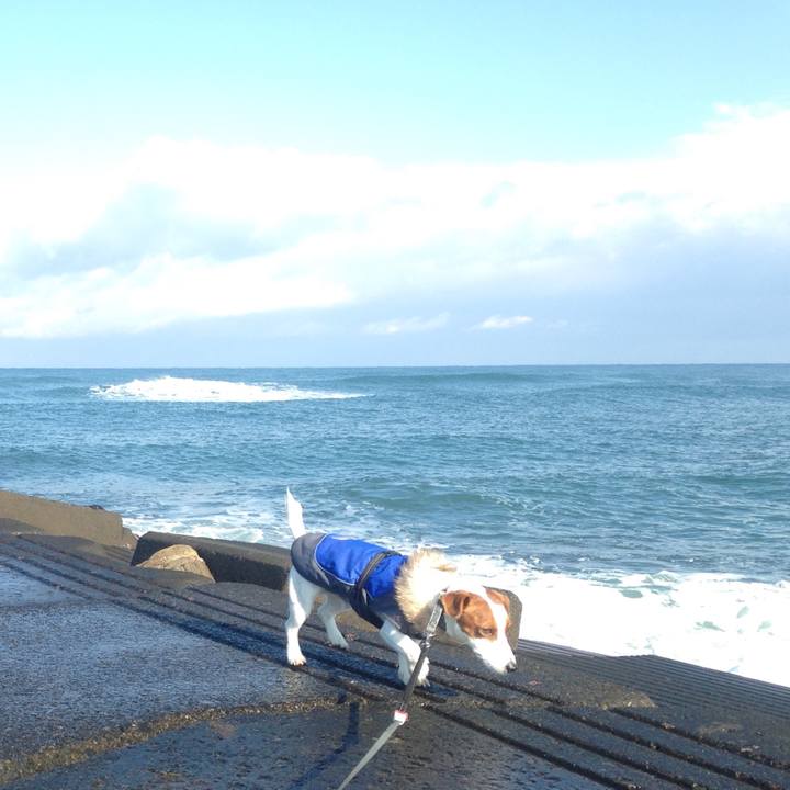 E6d86c1a ffe6 44a7 9951 1c18a7e4b859 1513844579571