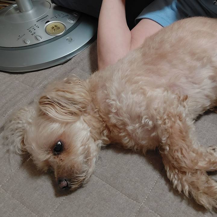 E6d87658 16a1 4e03 9f66 93bf371ee174 1752204956313