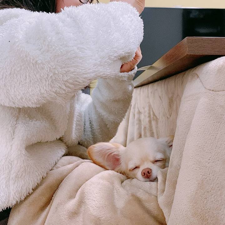 E6d88262 f6bb 4cd8 8c04 66bf1824ce3e 1611379934098