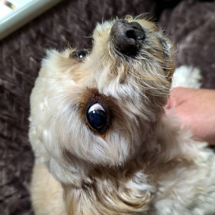 E6d88892 e8b6 4f5d 989e ab251fc494e3 1637616636993