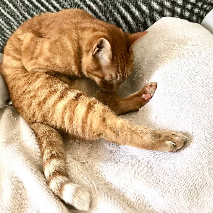 E6d88a02 d9ce 480f b598 2d19cfa9e3bf 1514789559067