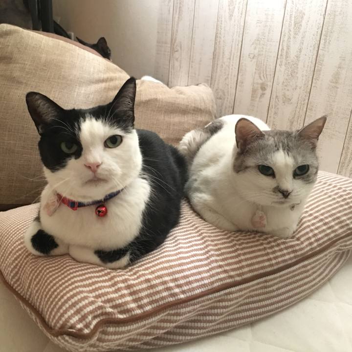 E6d8d0dc c54e 49e9 927e c53c5aa89691 1520470097757