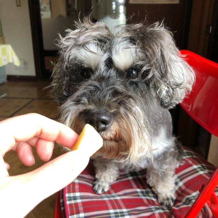 E6d8e3a0 a1a7 4502 9d06 86f8dc0e9450 1556598043772