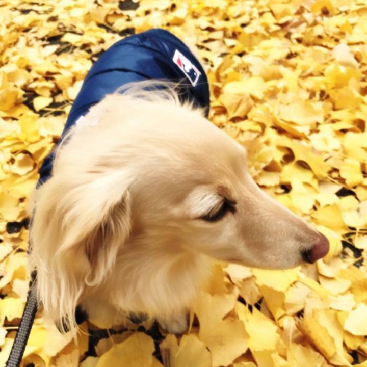 E6d91d3e 99b1 419a 97e4 72847889eab2 1763108022022