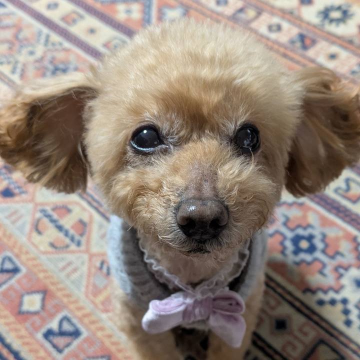 E6d9776d bb73 4a38 a479 2e34a8f6ec27 1770423581353