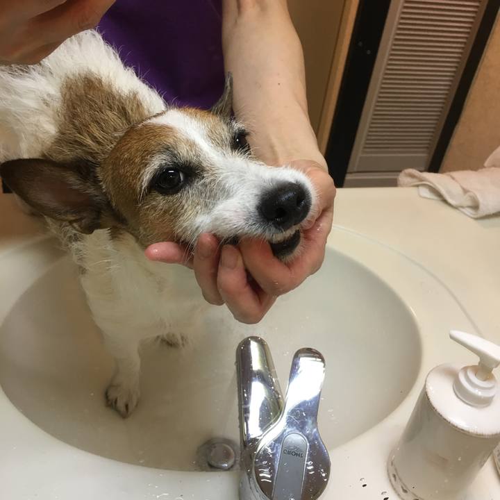 E6d97d02 7ada 4e73 bedf b4b973207b72 1561175595779