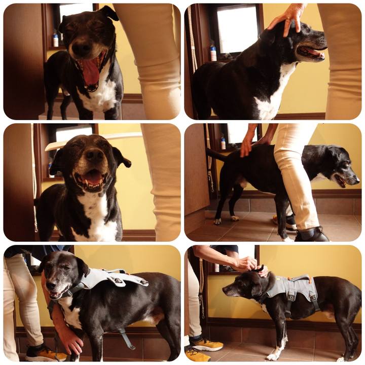 E6d9b2a6 d52e 425a be70 9e041d4fa4bc 1749430849946