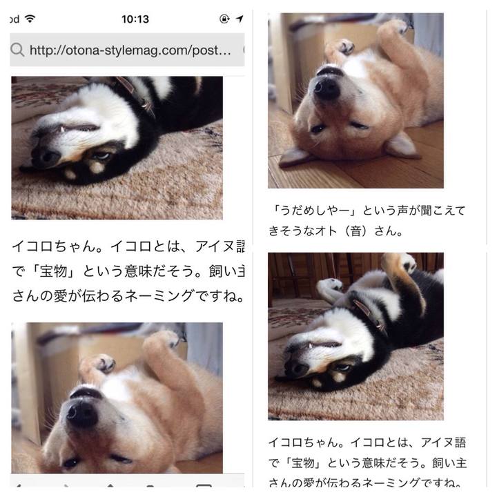 E6d9fdb3 ab4d 40f8 a54a b4c60e171691 1512782497772