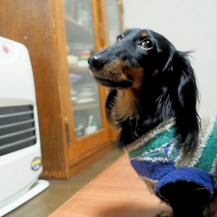 E6da1fd5 22e2 44c6 9f4f 853461ed82e5 1517010665011