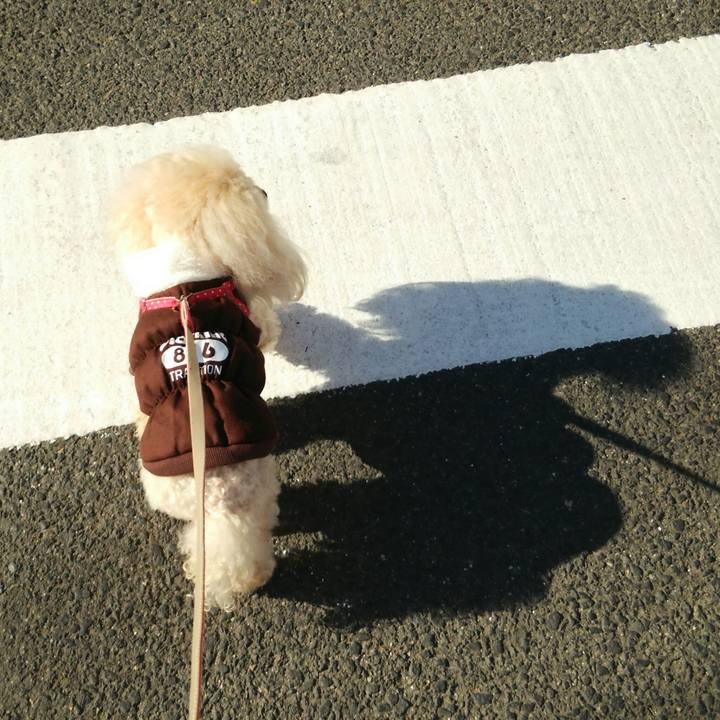 E6da5d73 2a8c 47f4 b2c4 b7ba46b97a02 1515822232069