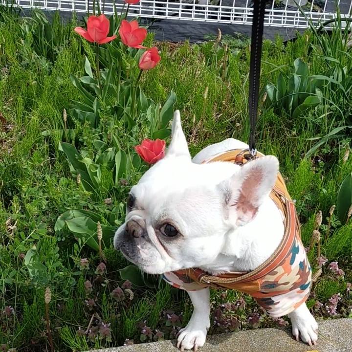 E6da7368 c889 4839 9974 ddb18090bc1d 1648768018733