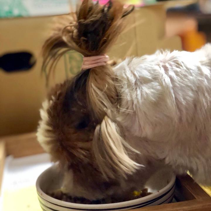 E6dae776 c287 4491 bfb9 15e22914dbb5 1523786230615