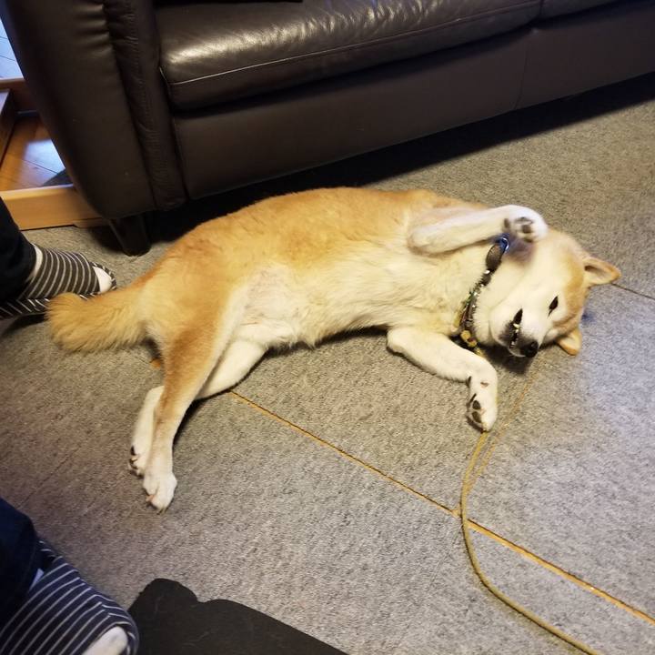 E6db1c5b 7983 47f9 ac04 5293a10294f1 1699583613127