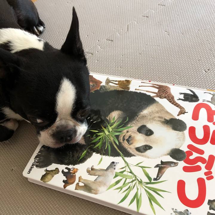 E6db3c09 9ddc 4736 9007 7fb36a597afa 1598353452577