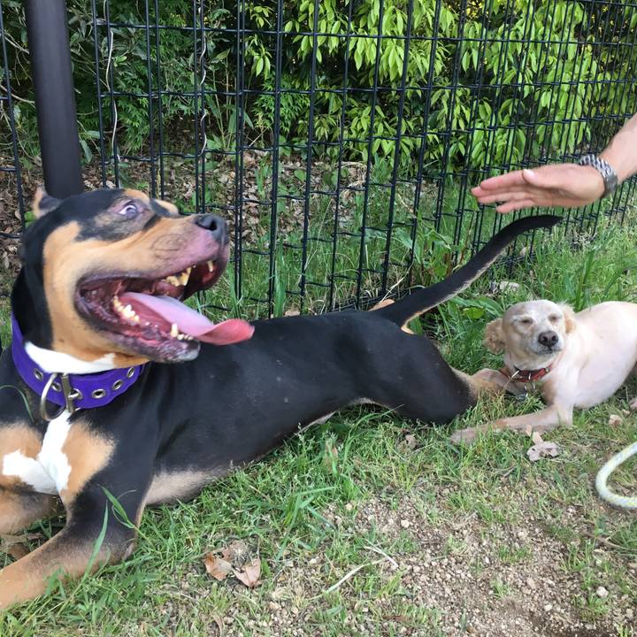 E6db6768 5a84 410a a413 faa385d81871 1557030771032