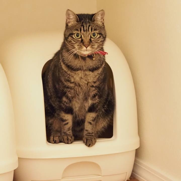 E6db6cbd cff7 40c2 a061 6ff4cccee69e 1603452359480