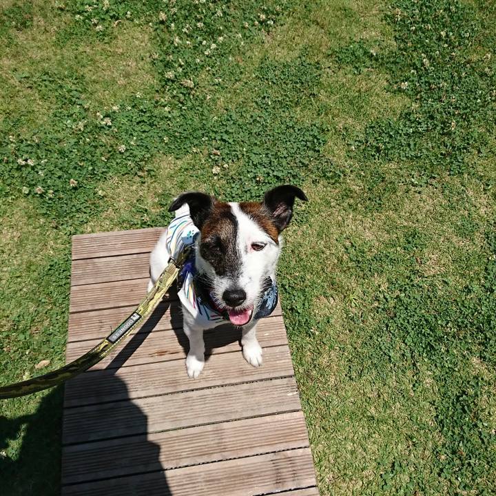 E6db9430 e27e 4aa1 af3d 949cf228ff1b 1527928506893