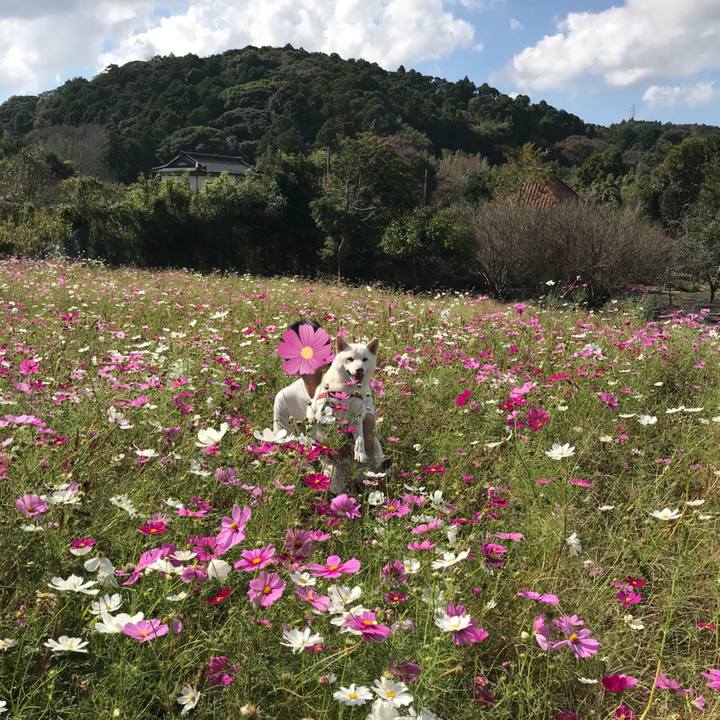 E6dba438 6e13 4255 97a2 7242da9c308b 1540691650099