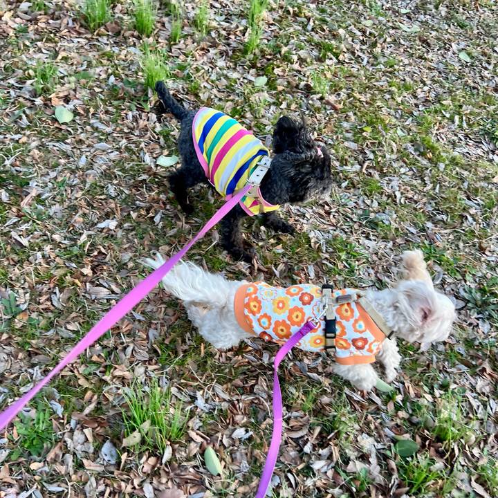 E6dbaf0b f65e 40d6 a682 efb66b9afb49 1772699711009