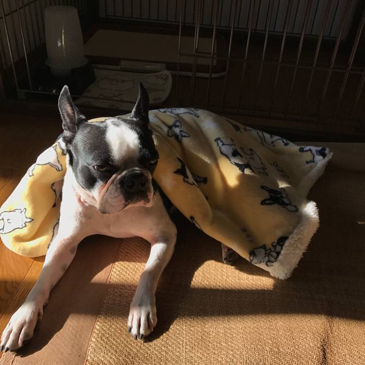 E6dbb915 ade5 45e0 8586 108675768971 1513582433682