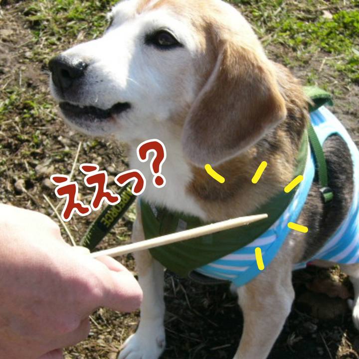 E6dbbb7d f2ae 45d3 bc8c 16761c743959 1670890707856