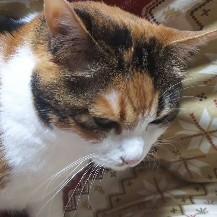 E6dbbd0e 470a 406f bef9 b3a73f72c716 1568606666574