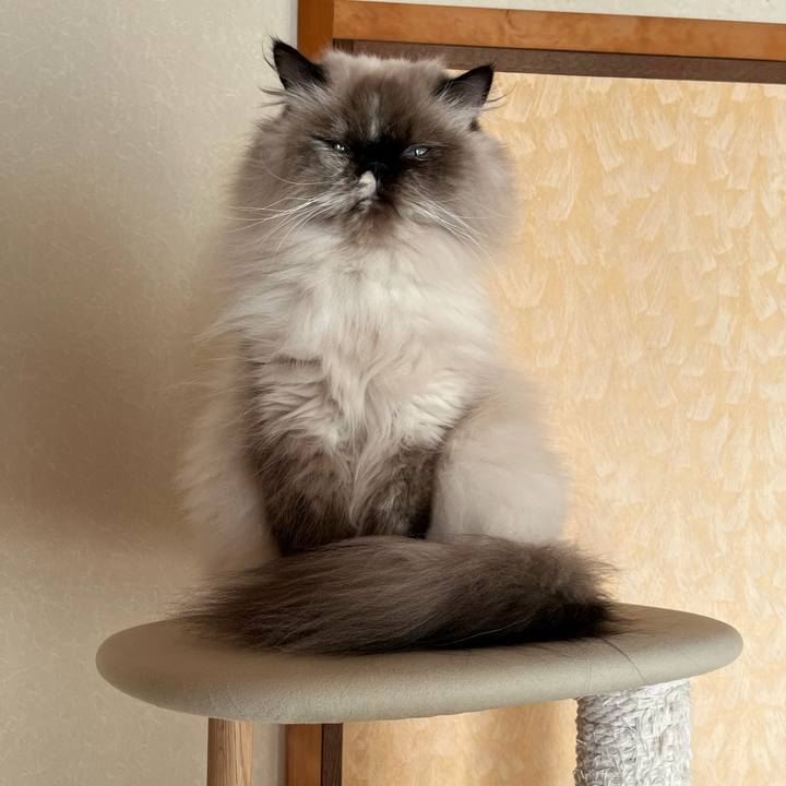 E6dbc9fb e2ed 4de5 a3a8 b293856440d0 1701073182752