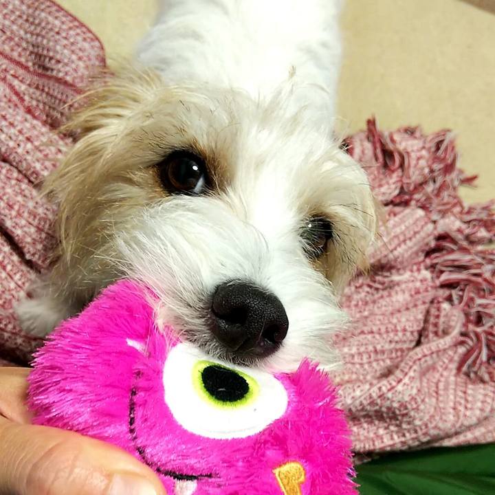 E6dbfca9 1e9c 46a4 be3b 45e7c19b7efb 1539989622791