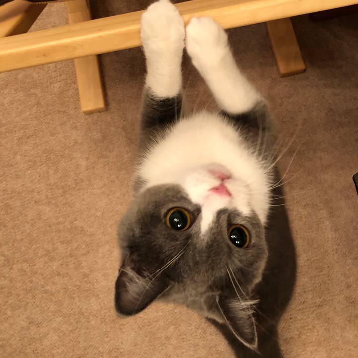 E6dc017c bec8 4f53 ab90 948e3584385f 1533560405183