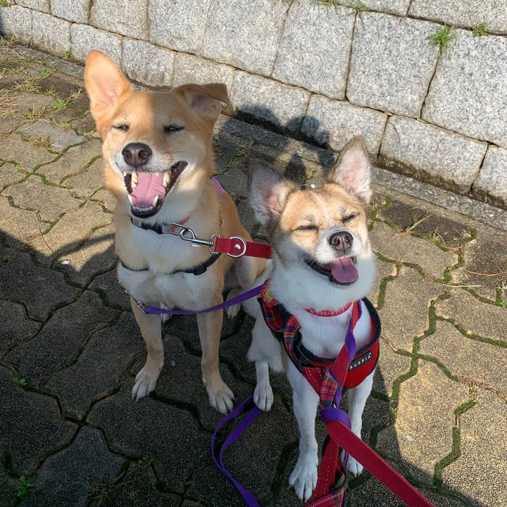 E6dc0a83 e2a4 4c14 9d4e 0fd985a59d76 1572399748954