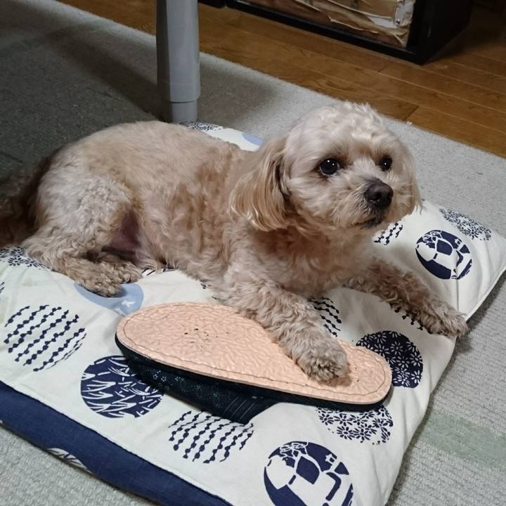 E6dc24a0 853f 4dff 9e9c 63655f870298 1588678940872