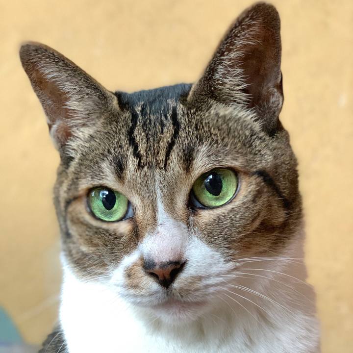 E6dc3067 5b88 4651 af8f 9c8646fddef2 1572052188025