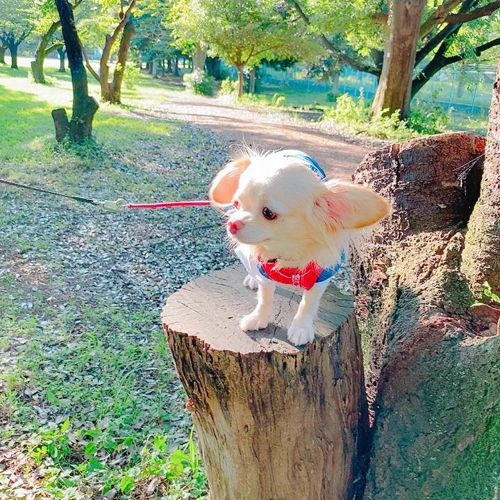 E6dc33eb c914 47a7 b08d b880a2a88be0 1626613074186