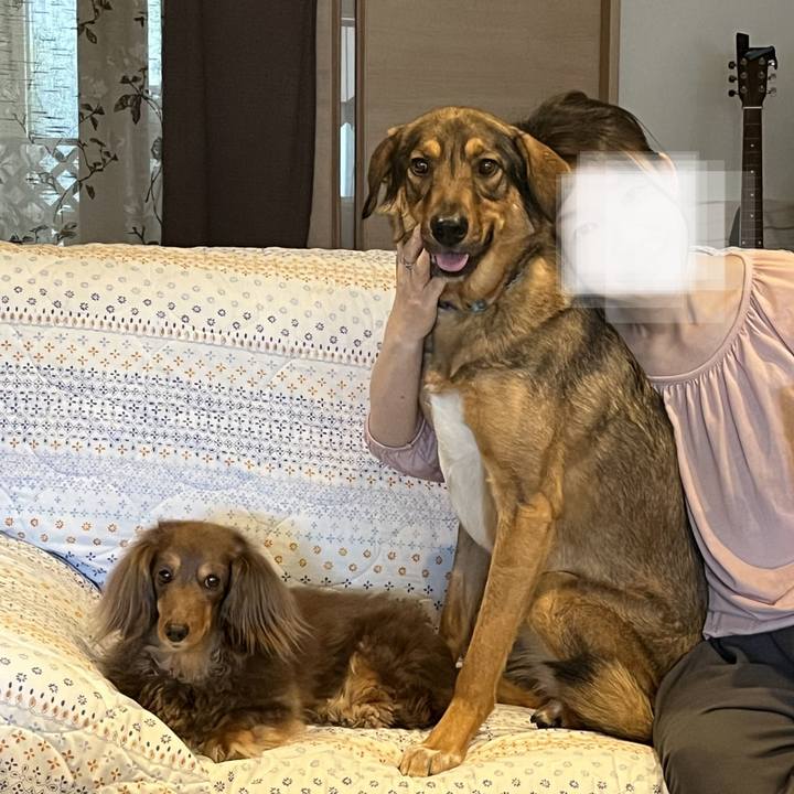 E6dc34c7 c2ba 4c68 9112 460a8dfe9464 1745715628386