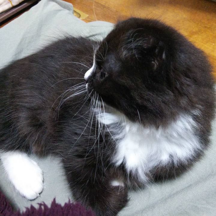 E6dc4636 3434 4355 921d c623e6d3874e 1638880633783