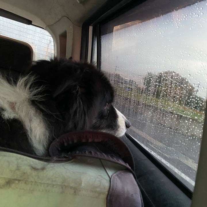 E6dc7b81 d74c 4a1a 8fef 8550d6c7d885 1700172545446