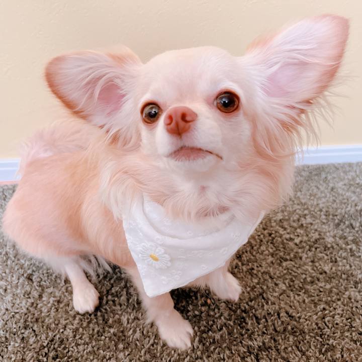 E6dca65d 24fa 4e6e bf43 76804bd5c20b 1654409534222