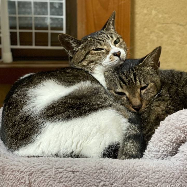 E6dcae5a 4b73 43e5 8443 851c238a03f9 1613092442647