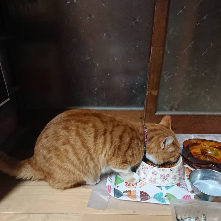 E6dcb25c 52ba 49f4 afb5 6f3e9119186f 1603528078507