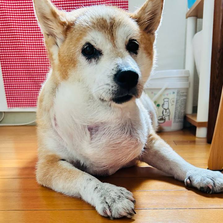 E6dcd198 9159 4824 8a4b abee3dcf1b9c 1758340091540