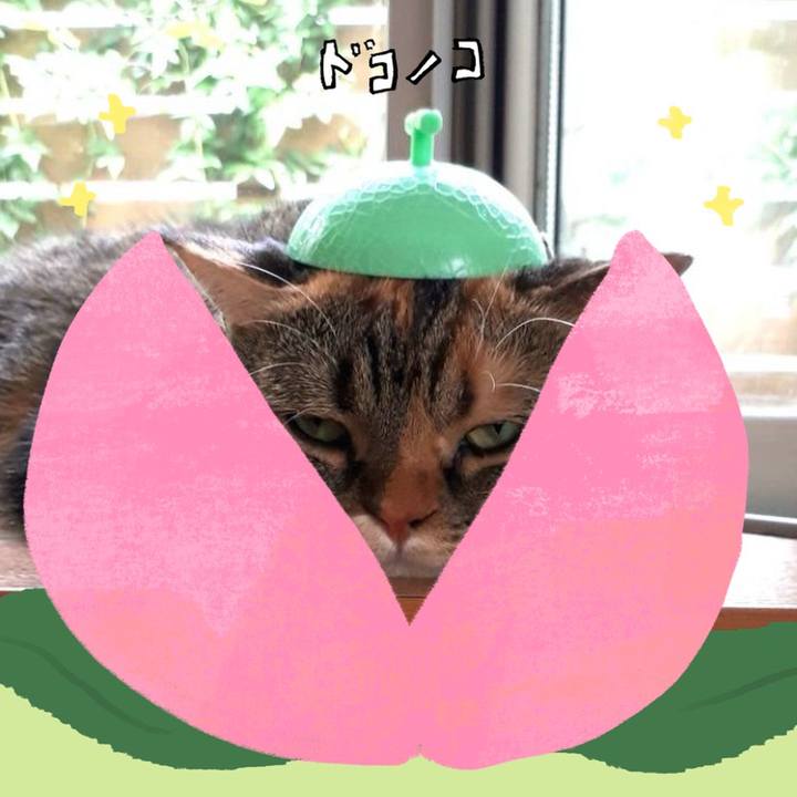 E6dcf123 6f79 447b b06f 1b5935afa82c 1771823569130