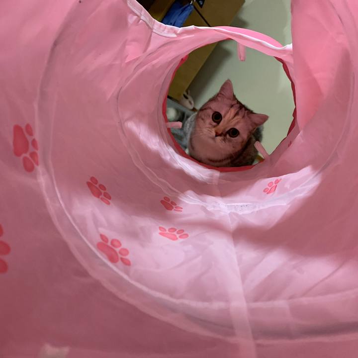 E6dd38a3 0bbd 4836 bcba 21d60933d1f0 1705355976420