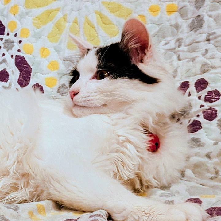 E6dd3e33 9015 4907 bf8e b28c6cb71353 1767519831226