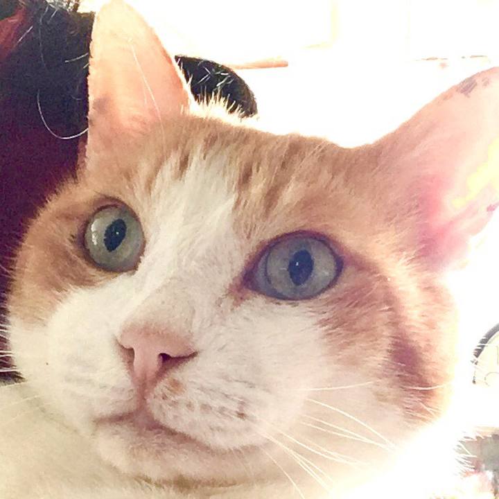 E6dd8167 0027 4002 b921 850d6b8c63a4 1556487778638