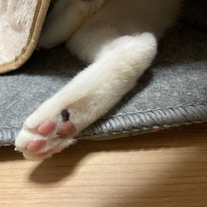 E6ddb420 57ab 4c60 bd75 eb52b385bda2 1574853786073