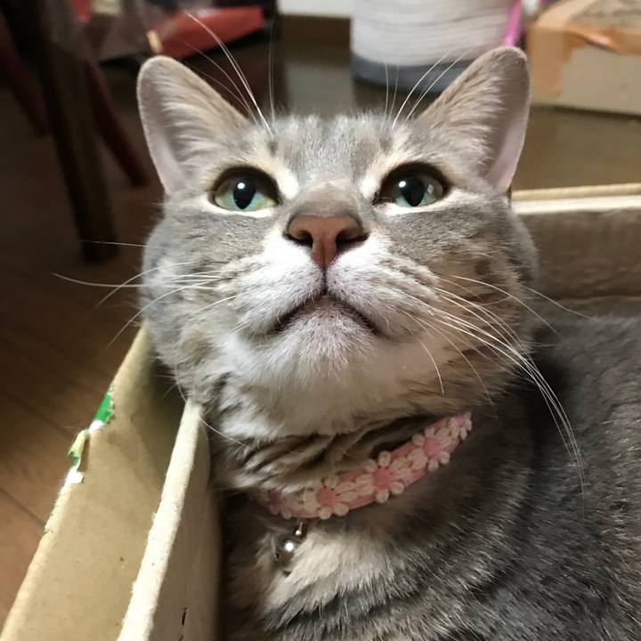 E6ddc289 b775 400a afe9 5e3be28a632e 1611654923607